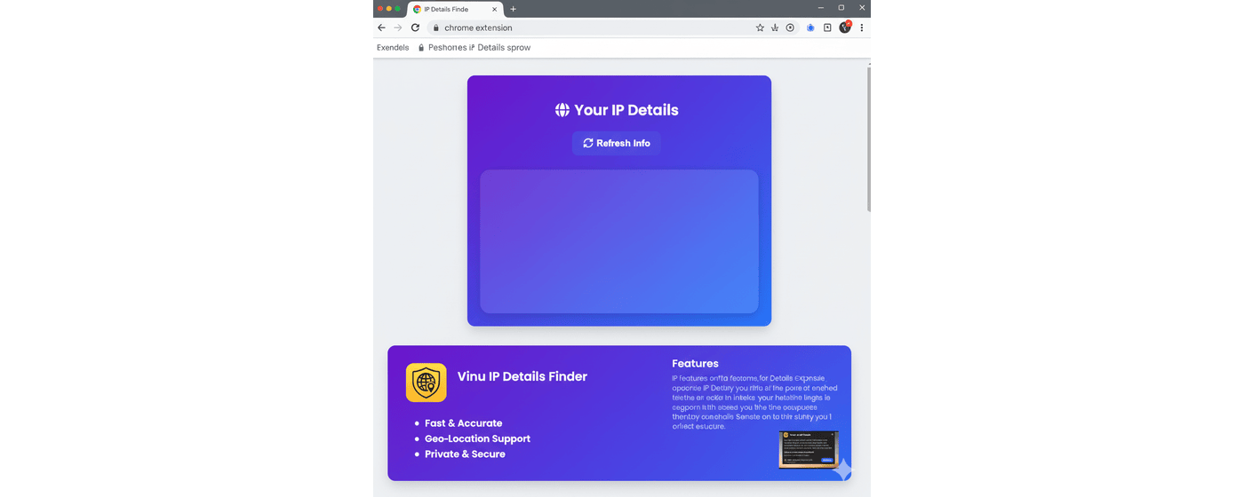 IP Info Extension Screenshot